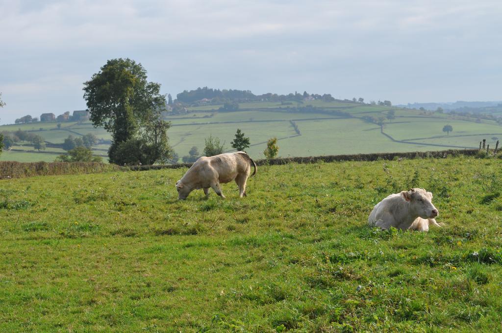 Bed and Breakfast Escale en Charolais Brionnais à Saint-Julien-de-Civry Extérieur photo